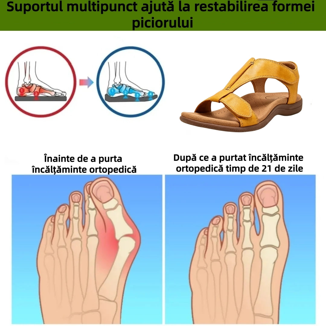 【🎁Ultima zi la jumătate de preț, nu ratați!】Sandale ortopedice cu design ergonomic și suport pentru bolta plantară✅️ pentru mers fără durere👞
